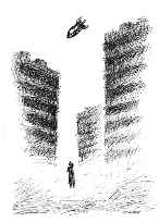 z_1