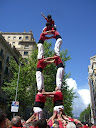http://lh6.ggpht.com/_5a5BMitFeFE/Sfw8AE55ZLI/AAAAAAAAEg8/uqcWLJuxg4Y/CIMG6773.JPG