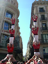 http://lh6.ggpht.com/_5a5BMitFeFE/Sfw8oWiYoBI/AAAAAAAAEhU/G7sQm8GuM1E/CIMG6777.JPG