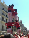 http://lh6.ggpht.com/_5a5BMitFeFE/SfwxC05WVbI/AAAAAAAAEcU/aZs_o69p5pY/CIMG6714.JPG