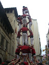 http://lh6.ggpht.com/_5a5BMitFeFE/Sgc115S3DUI/AAAAAAAAFhk/2cSkZ3k2tKU/CIMG7222.JPG