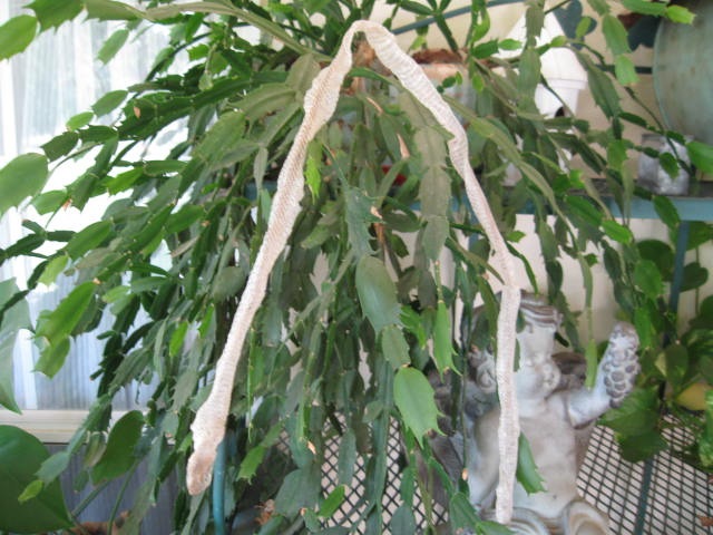 [May20090542.jpg]