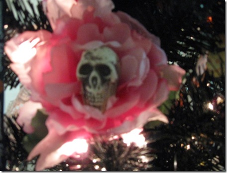 Halloween 2009 021