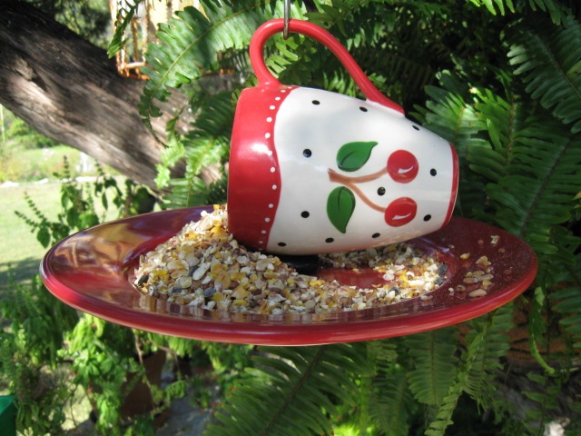 [books and birdfeeders 09 018[3].jpg]