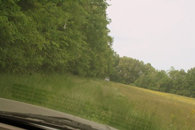 [HuntingCamp712.jpg]