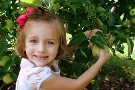 [ApplePicking200932.jpg]