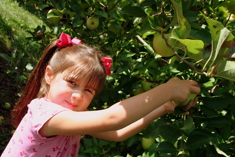 [ApplePicking200942[1].jpg]