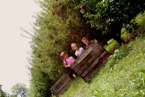 [ApplePicking2009252.jpg]