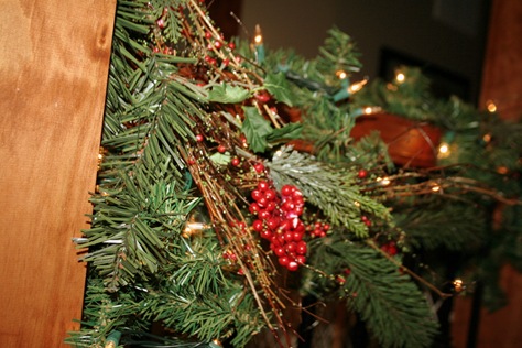 [ChristmasDecorating-23.jpg]