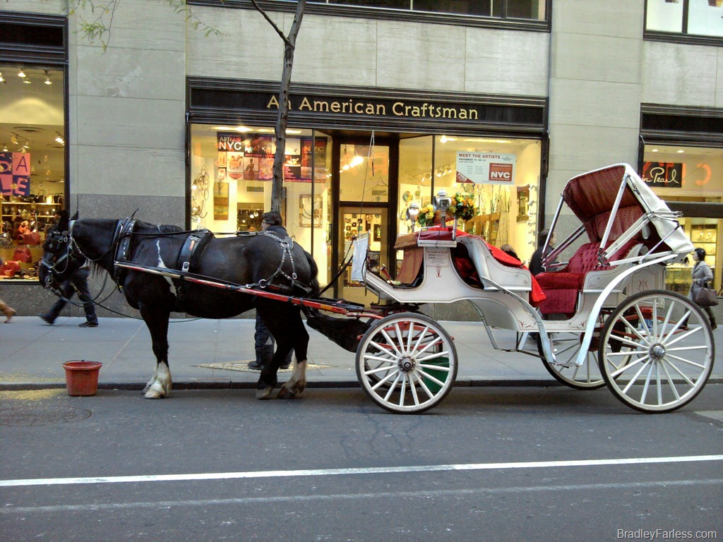 [2010-11-07 12.32.18[6].jpg]