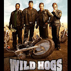 VCD Wild Hogs