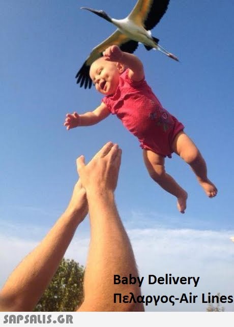 Baby Delivery Πελαργος-Air Lines 