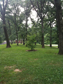 IMG_0196.jpg IMG_0196.jpg