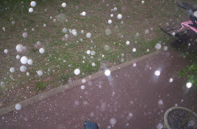 000_0272.jpg