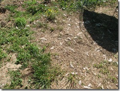 IMG_6005 IMG_6005