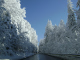 DSC02860.JPG