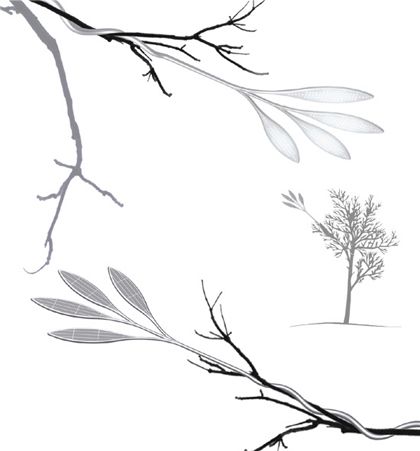 自然灯 自然灯