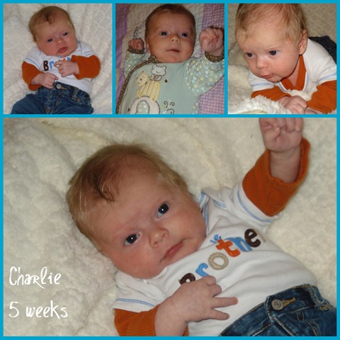[Charlie 5 weeks collage[3].jpg]