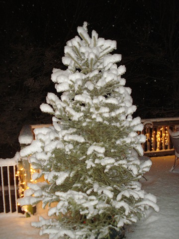 [DSC025482.jpg]