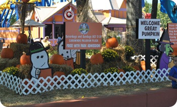 The Great Pumpkin patch