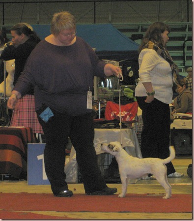 IMG_0798 IMG_0798