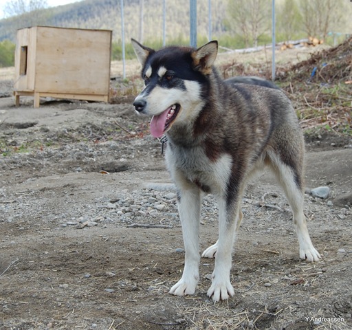 [DSC_33353.jpg]