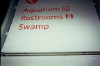 We partied in the swamp, which is next to the aquarium and the restrooms.