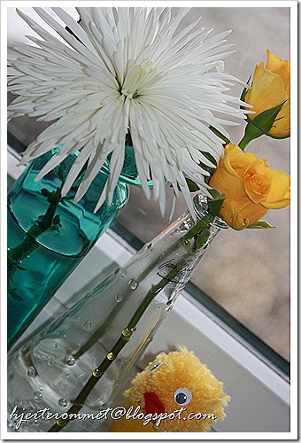 IMG_1668 IMG_1668