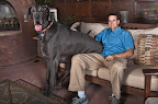 anjing terbesar sedunia di guinness world record