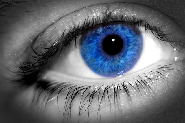 [Blue Eye Macro[4].jpg]