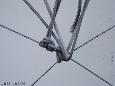 _DSC0440r