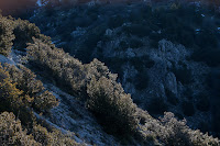 Lecceta su Monte Scalone Photo