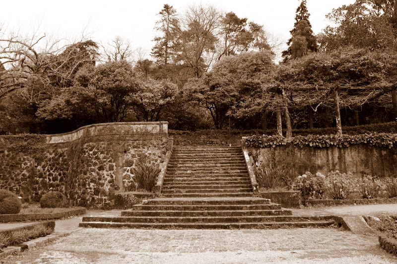 Jardin dos Palácio do Buçaco