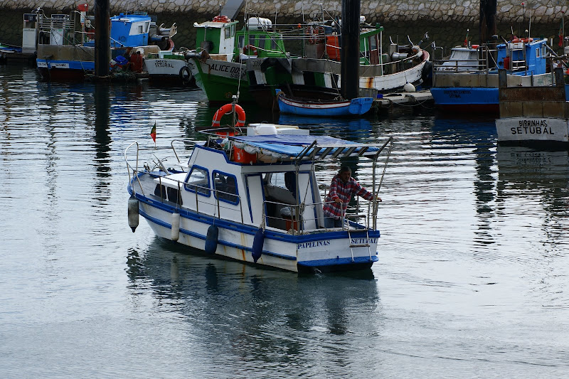 As cores da doca dos pescadores