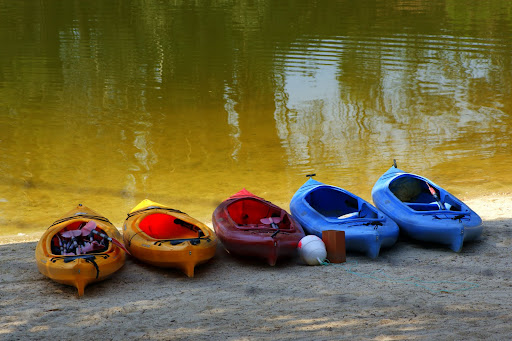 Canoas nas margens da Barragem de Montargil
