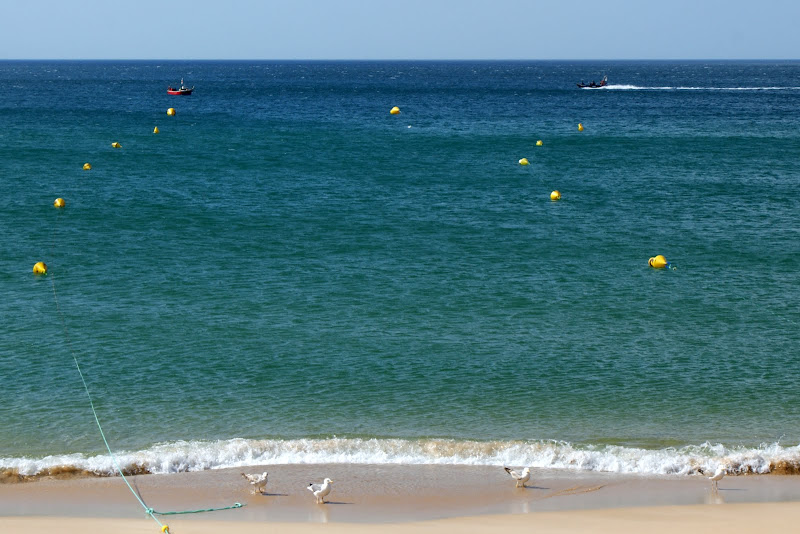 Praia de Salema