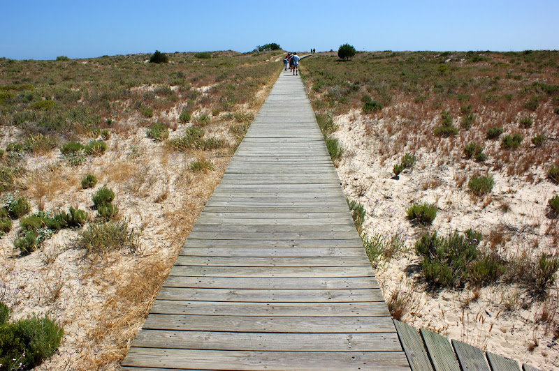 Ir à praia em Troia, passagens de madeira sobre as dunas