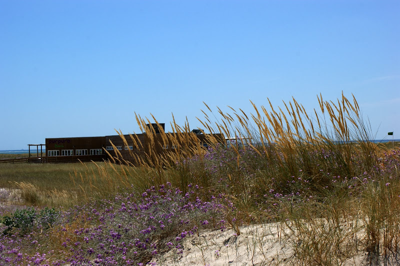 Troia, vista do bar da praia