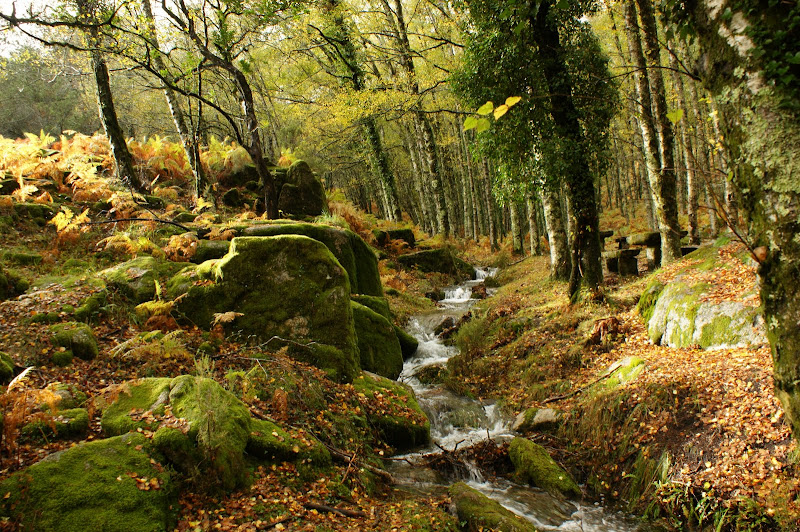 Como caminhar sem ver o caminho?