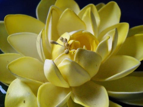 DSCN0001_2 DSCN0001_2