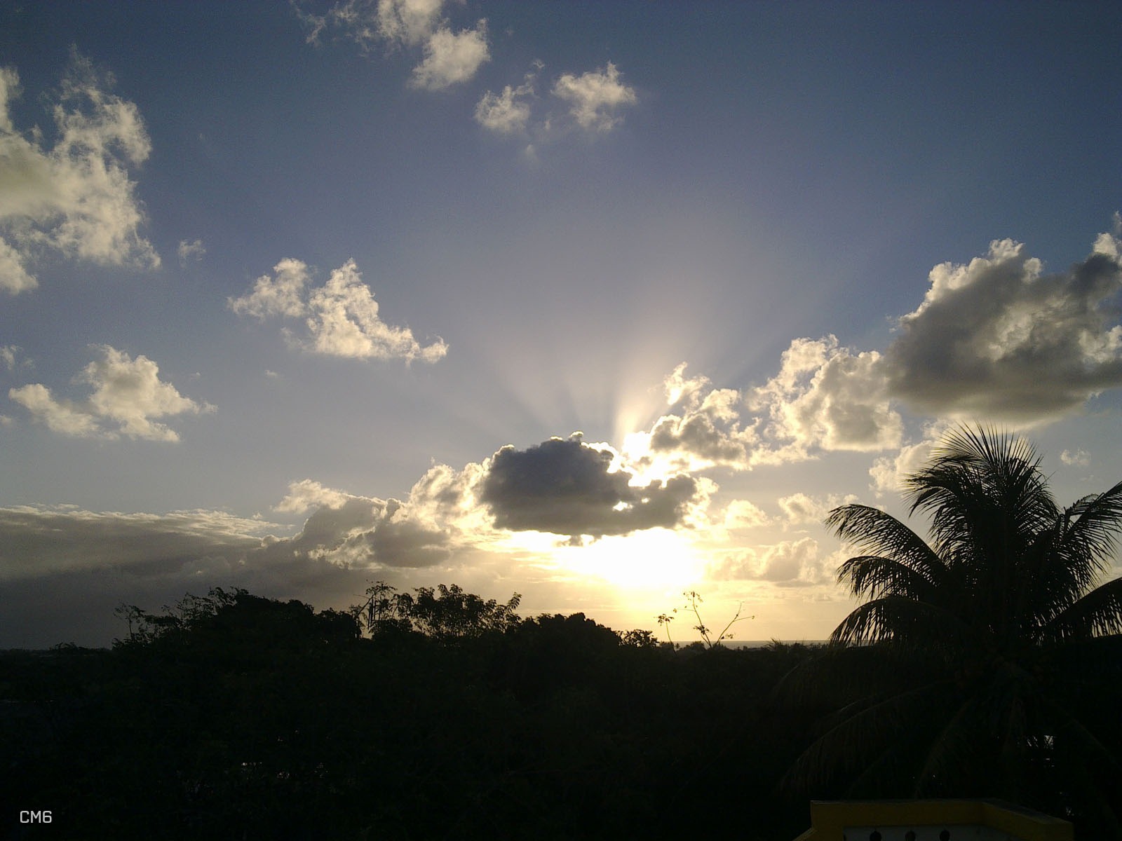 [29072010060_24.jpg]