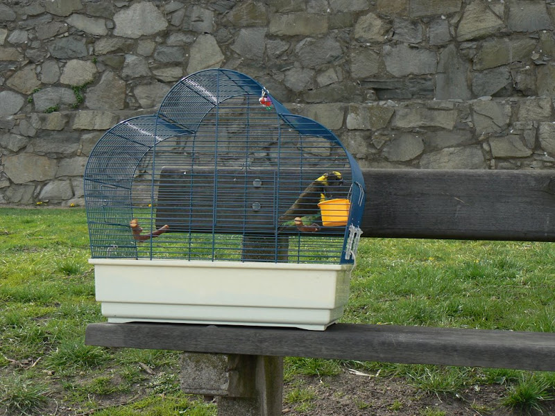 Parkbesök
