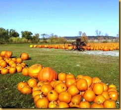 fall pumpkins IL