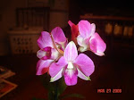 DSC01286.JPG