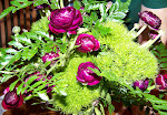 Ranunculus.JPG