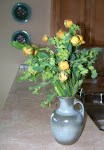 ranunculus 001.JPG