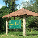 Caves Branch Lodge