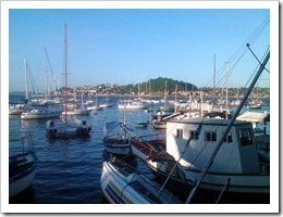 Image_00033