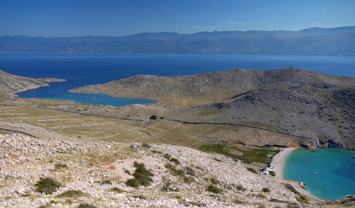P1200526e.jpg