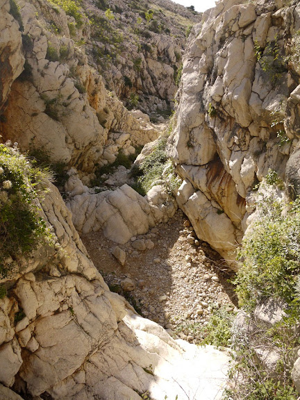 P1200834d.jpg